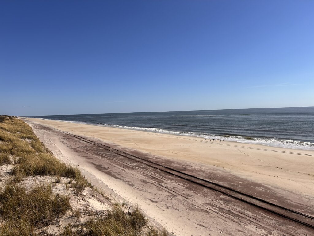 a sandy beach with water and blue sky (MyCoast AI)