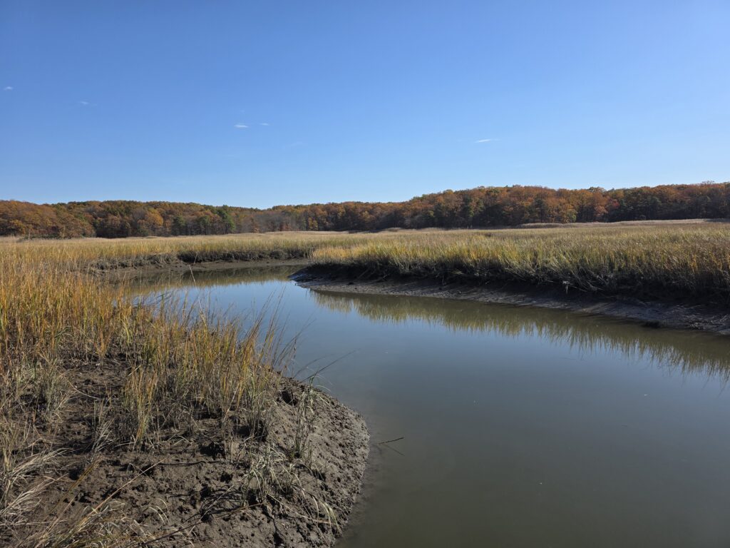 a body of water with grass and trees around it (MyCoast AI)