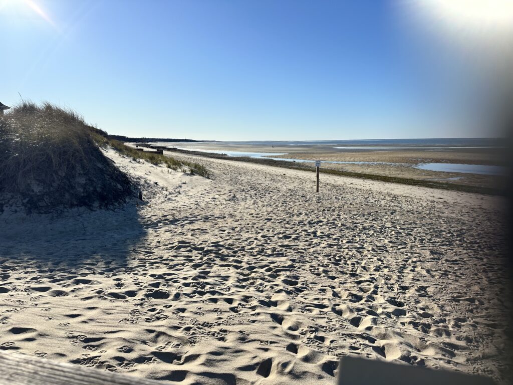 a sandy beach with a body of water in the background (MyCoast AI)