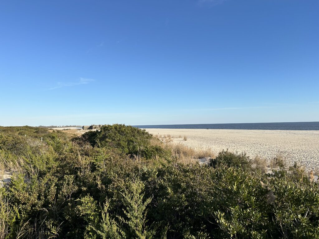 a landscape with bushes and trees (MyCoast AI)