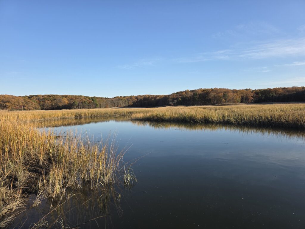 a body of water with grass and trees around it (MyCoast AI)