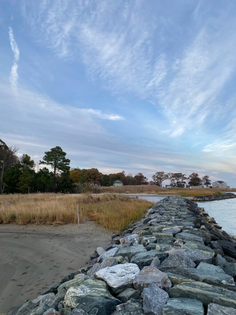 a rocky beach with grass and trees (MyCoast AI)