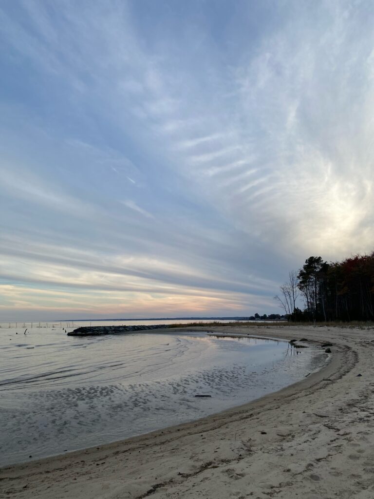 a beach with a body of water and trees on the side (MyCoast AI)