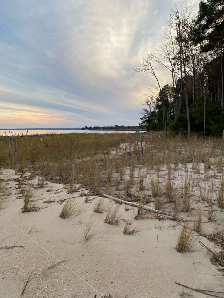 a field with trees and a body of water in the background (MyCoast AI)