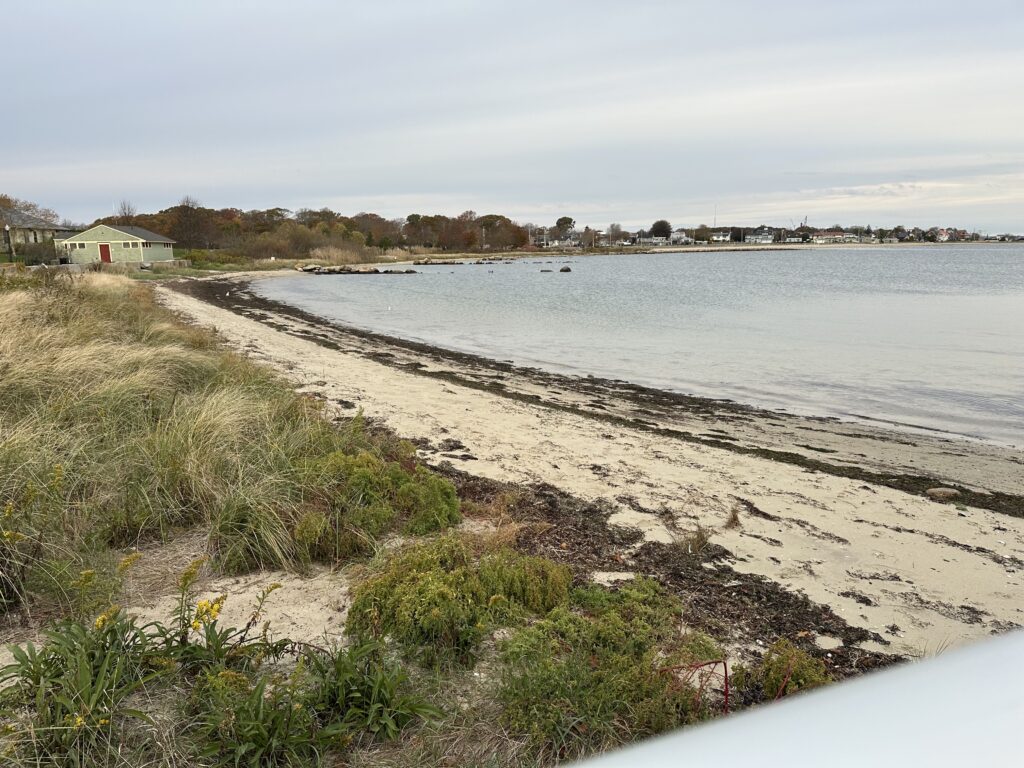 a beach with a body of water (MyCoast AI)