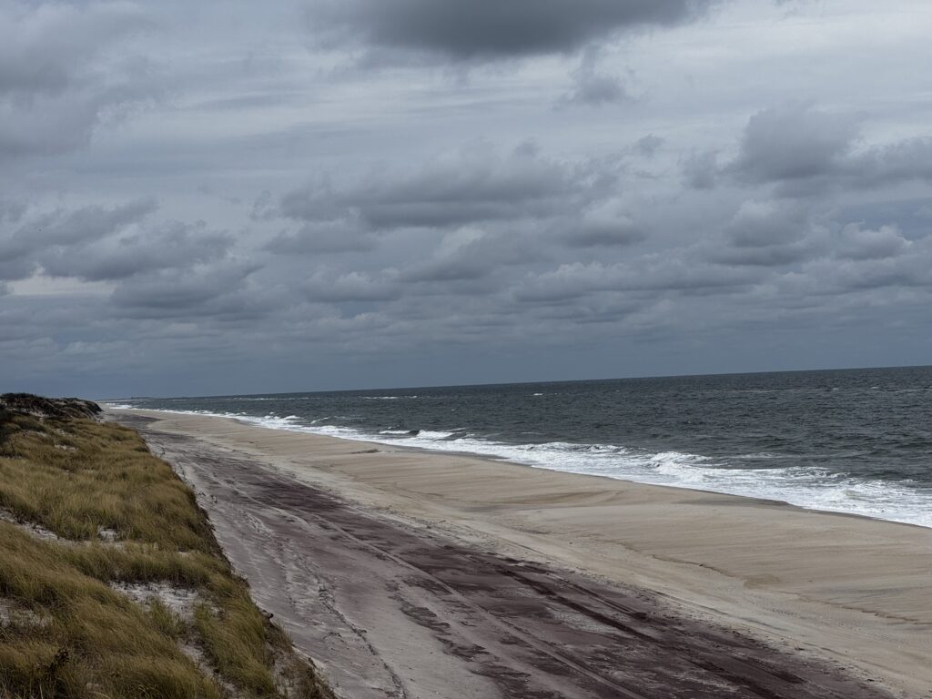 a beach with waves crashing on it (MyCoast AI)