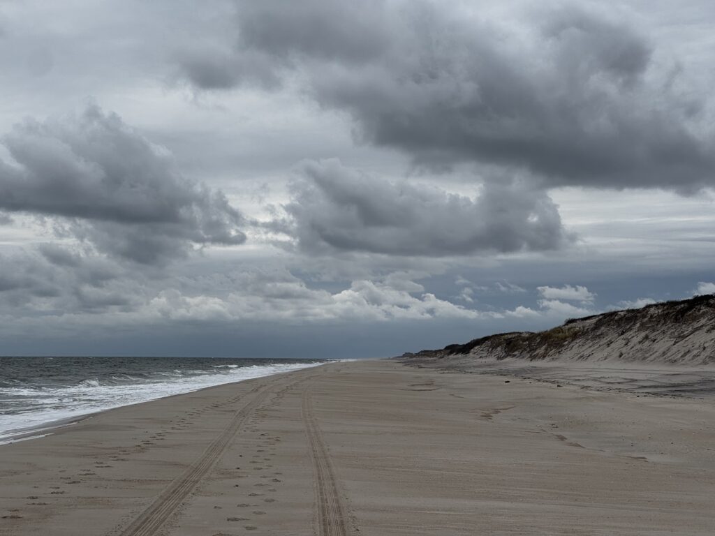 a beach with a body of water and a hill with clouds above (MyCoast AI)