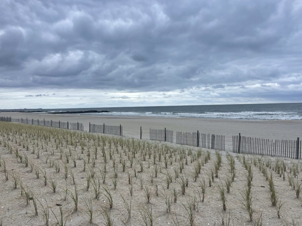 a beach with a fence and a body of water in the background (MyCoast AI)