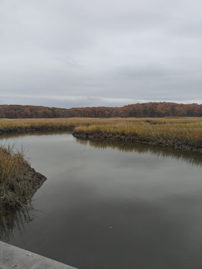 a body of water with grass and trees around it (MyCoast AI)