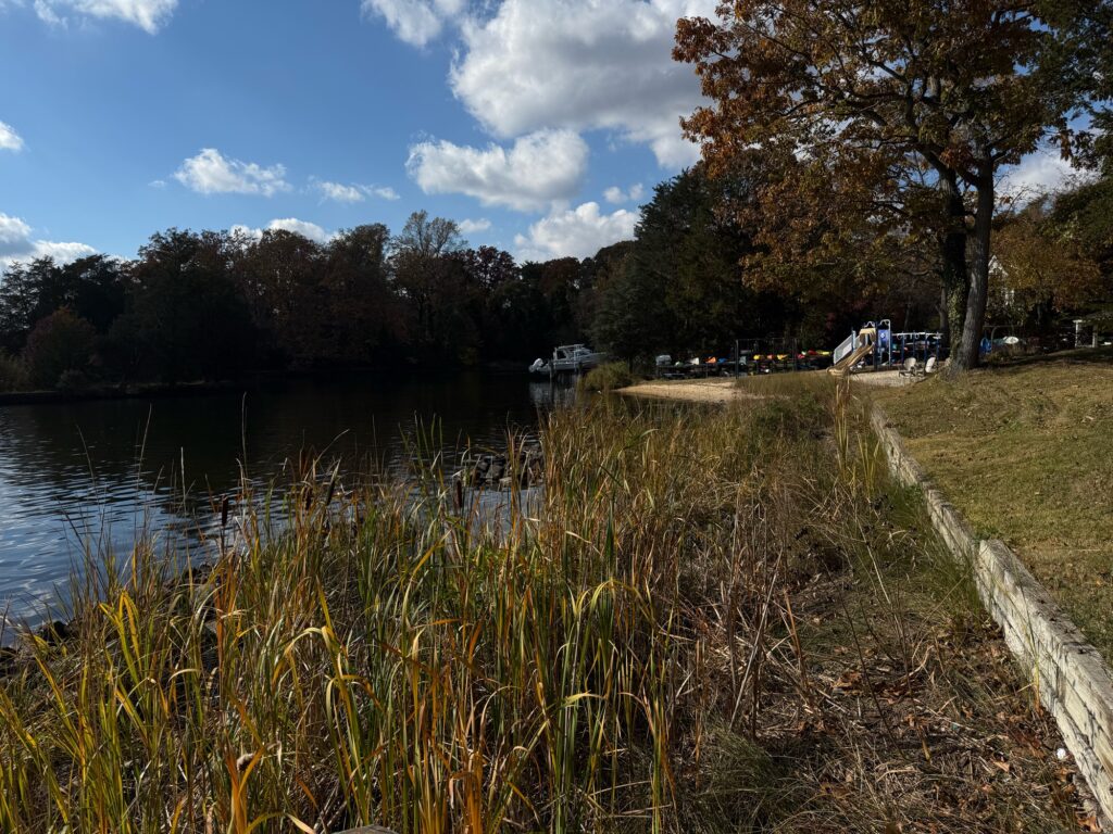 a body of water with boats on it and trees around it (MyCoast AI)