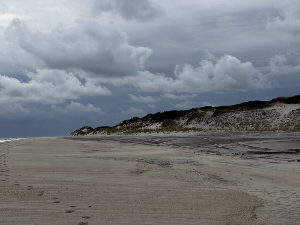 a beach with a hill in the background (MyCoast AI)