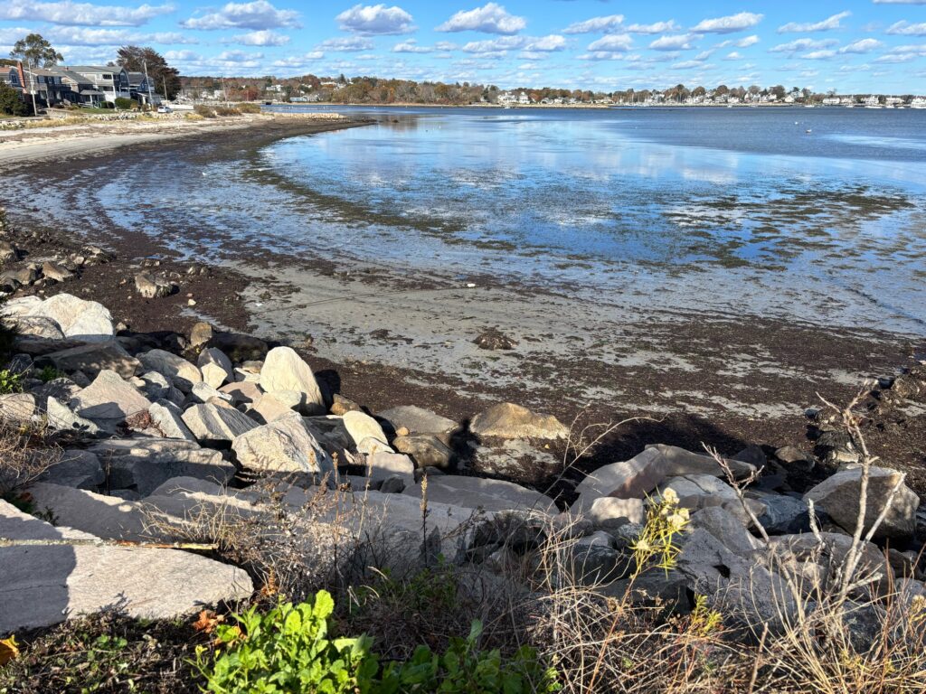 a rocky beach with a body of water in the background (MyCoast AI)