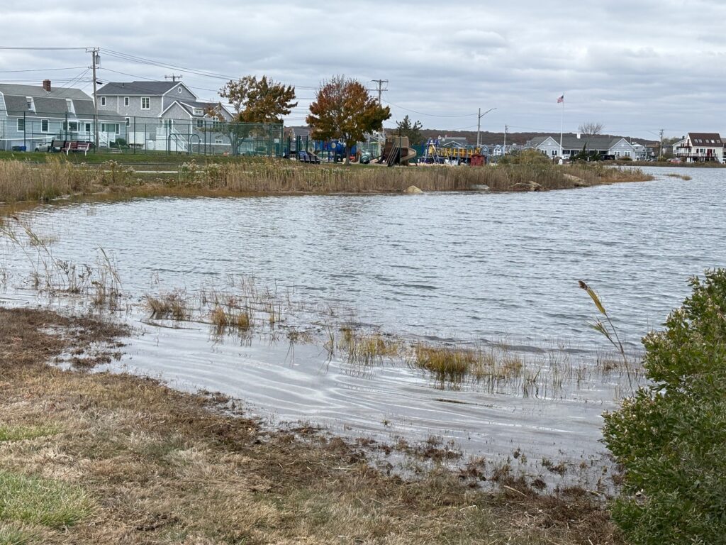 a body of water with houses in the background (MyCoast AI)