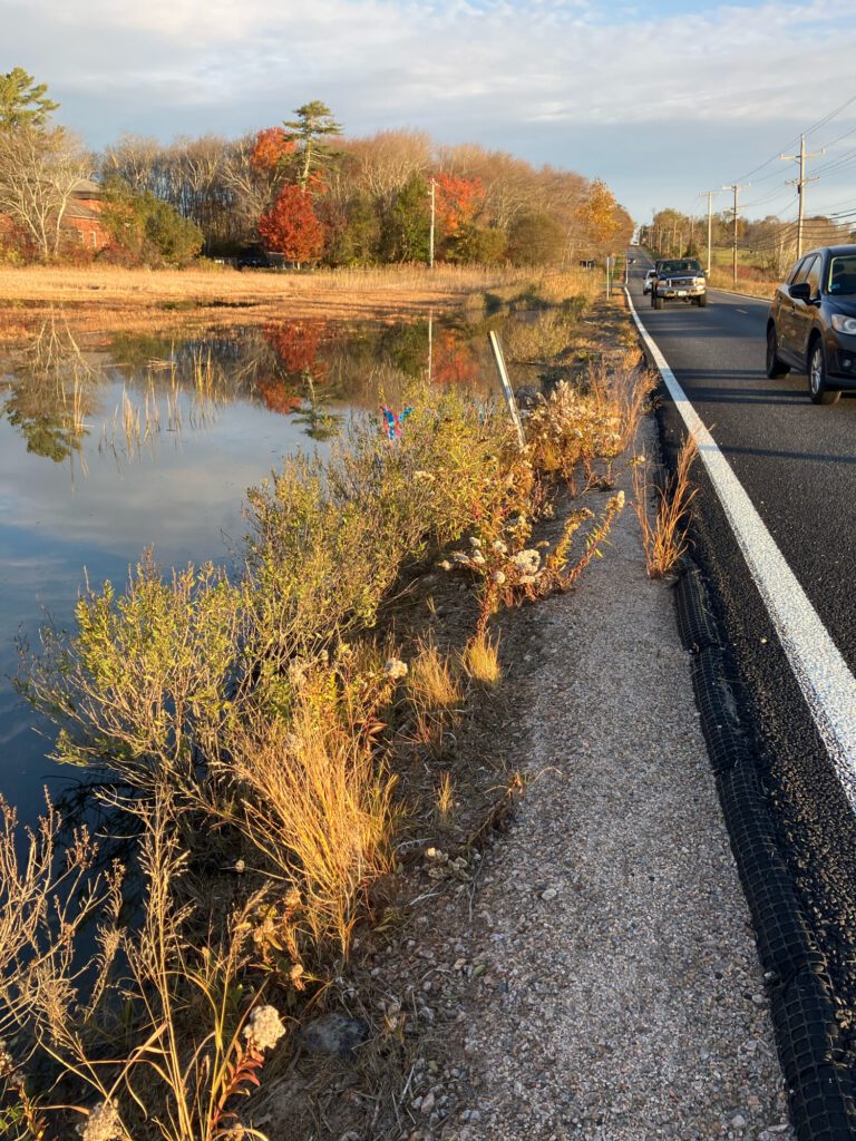 a road with cars on it next to a body of water (MyCoast AI)