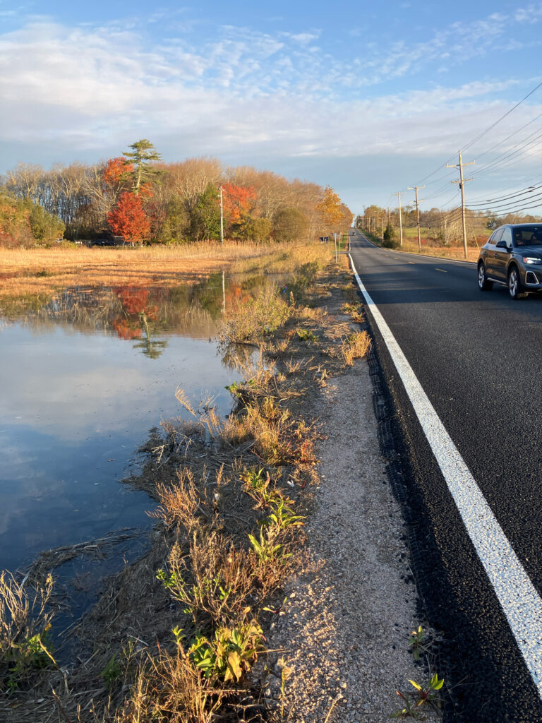 a road next to a body of water (MyCoast AI)