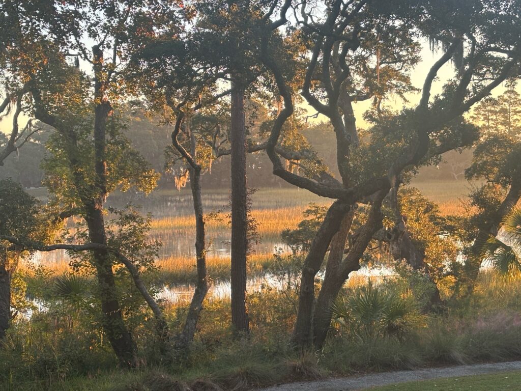 a group of trees with yellow leaves (MyCoast AI)