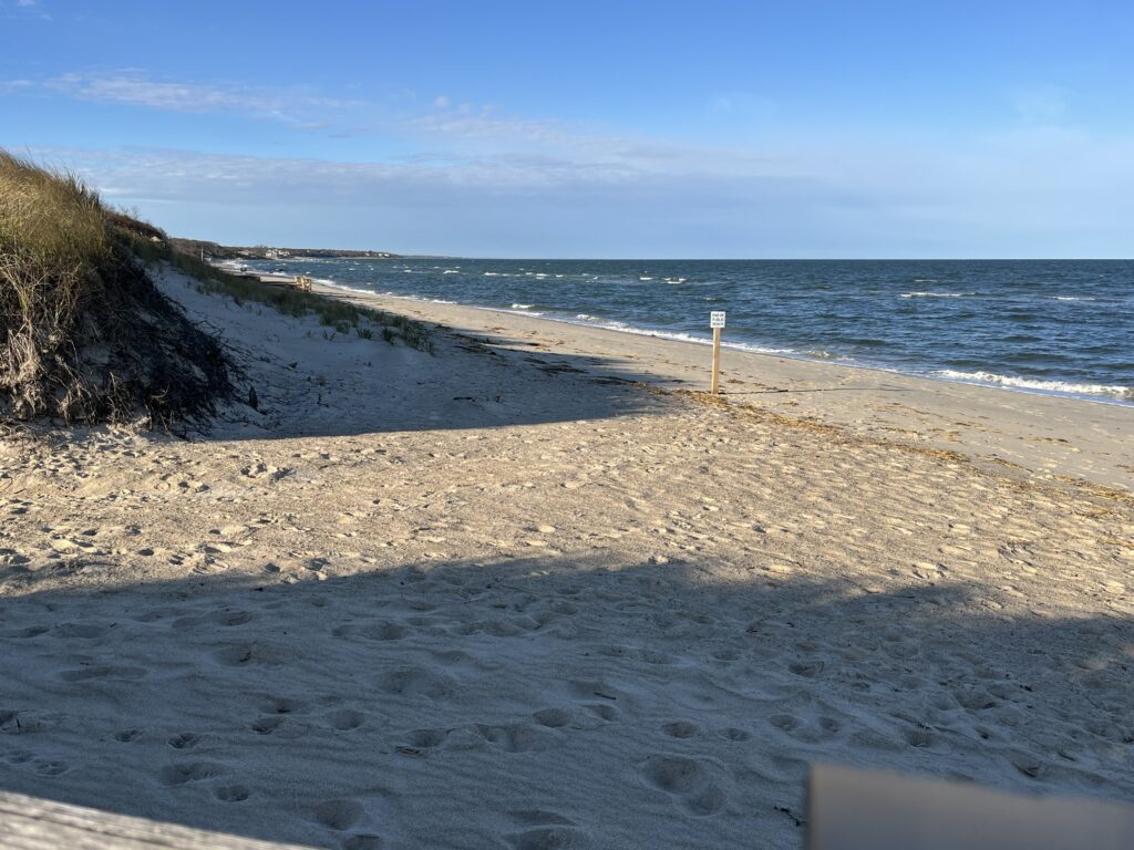 a sandy beach with a body of water in the background (MyCoast AI)