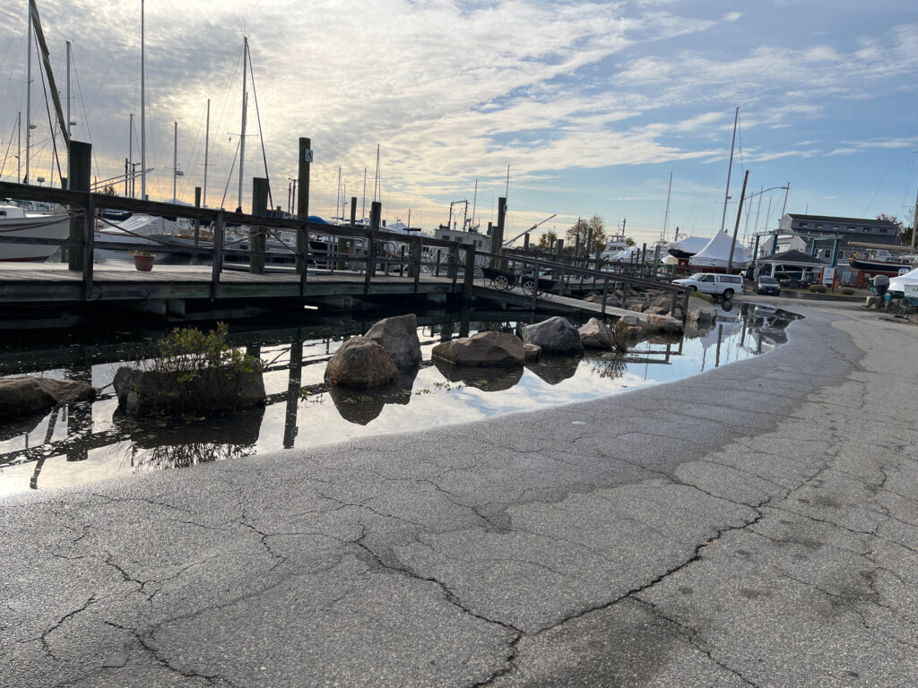 a bridge over a body of water (MyCoast AI)