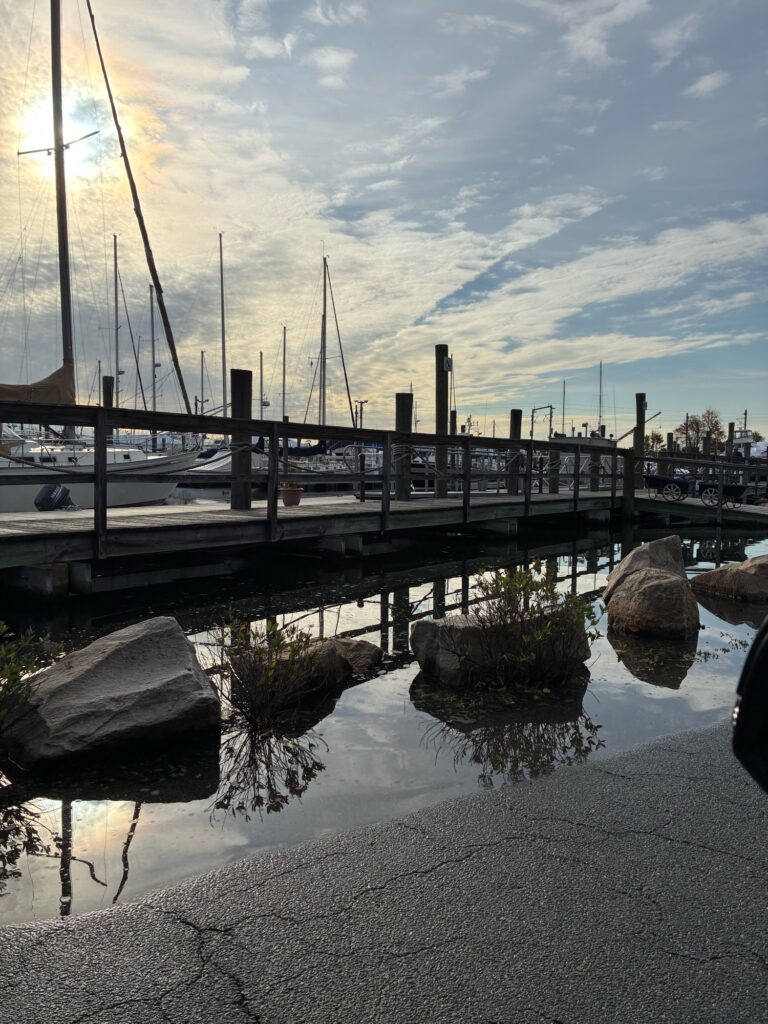 a bridge over water (MyCoast AI)