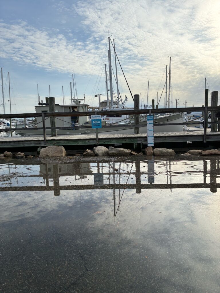 a dock with boats (MyCoast AI)