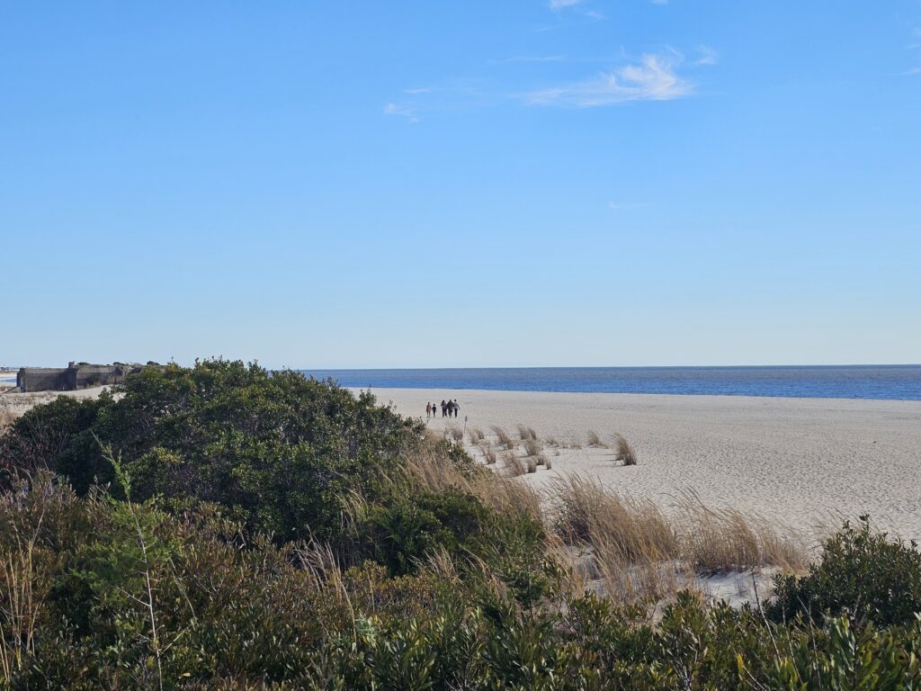 a sandy beach with bushes and trees (MyCoast AI)