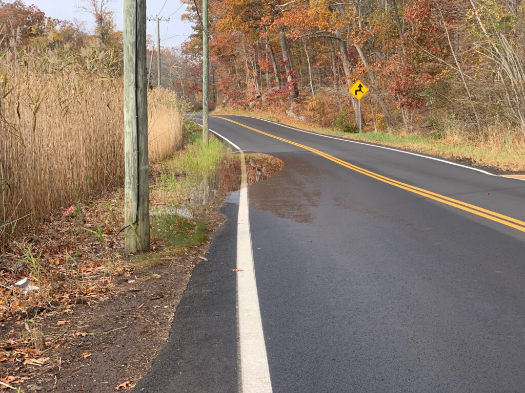a road with trees on the side (MyCoast AI)
