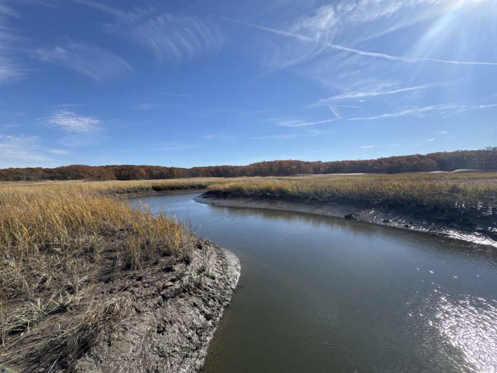 a river with grass and trees (MyCoast AI)