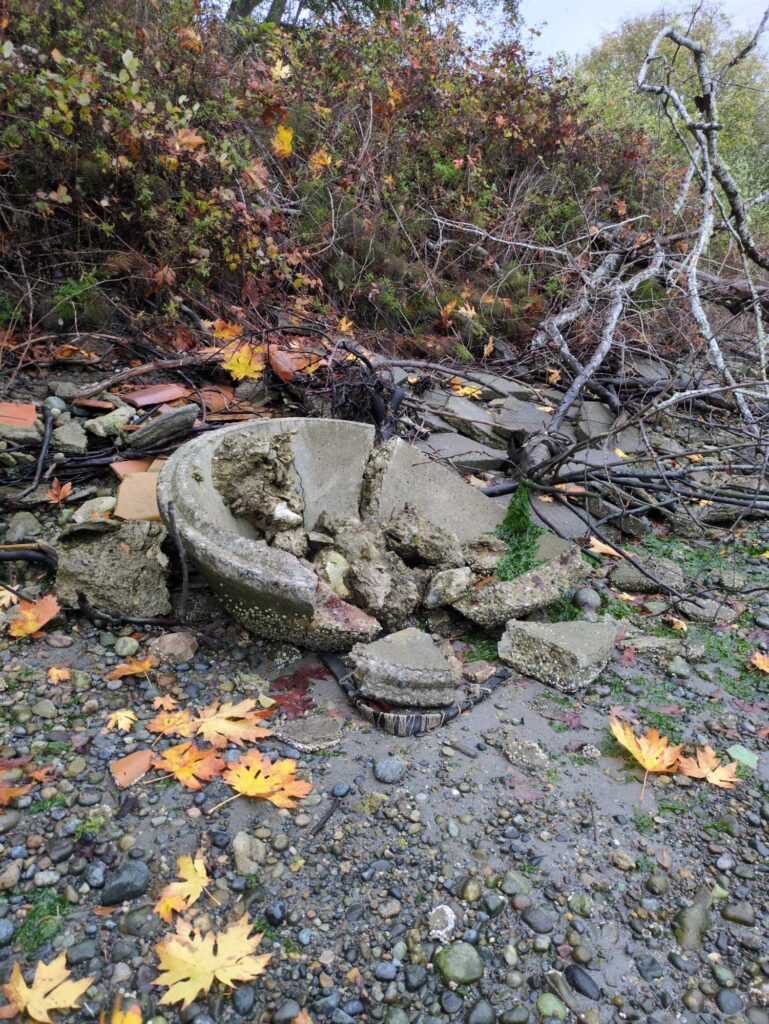 a pile of rocks and leaves (MyCoast AI)