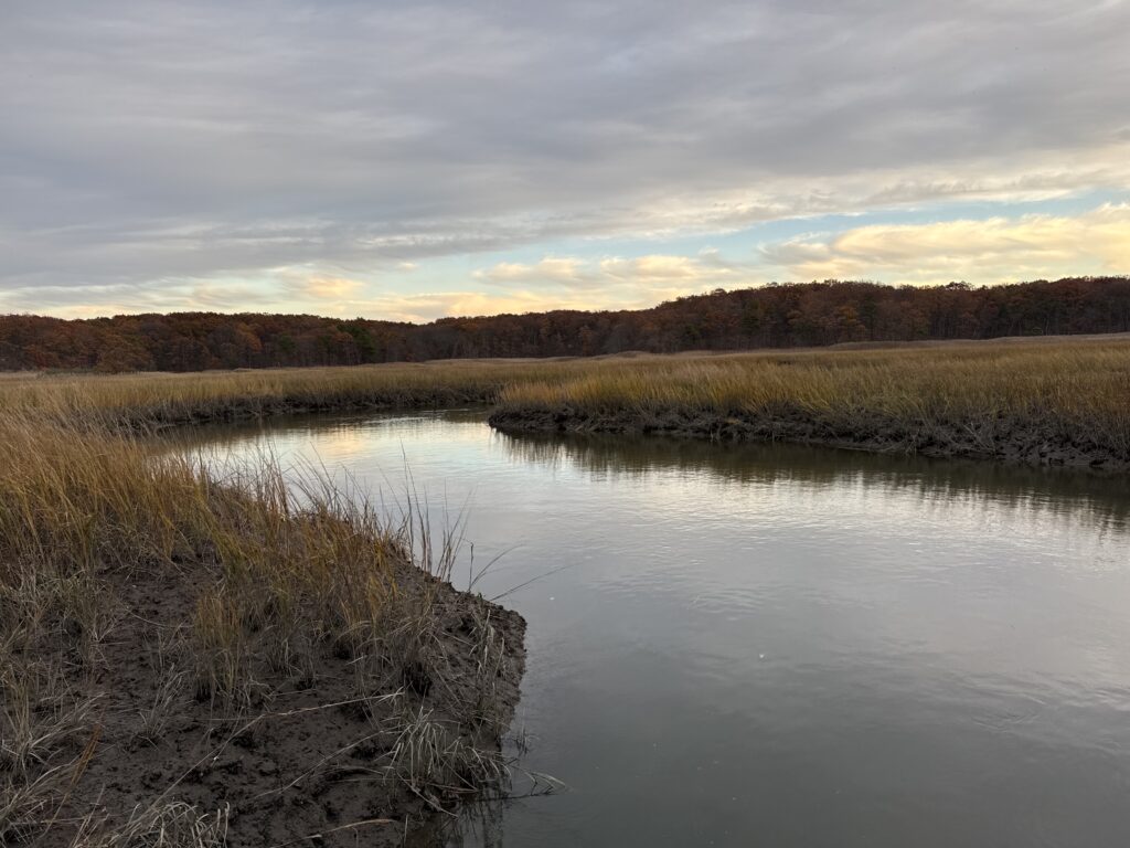 a body of water with grass and trees around it (MyCoast AI)