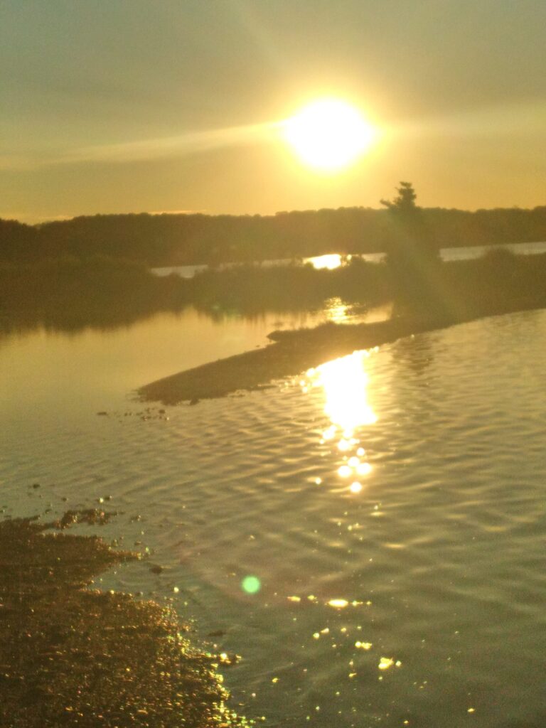 a body of water with a sunset (MyCoast AI)