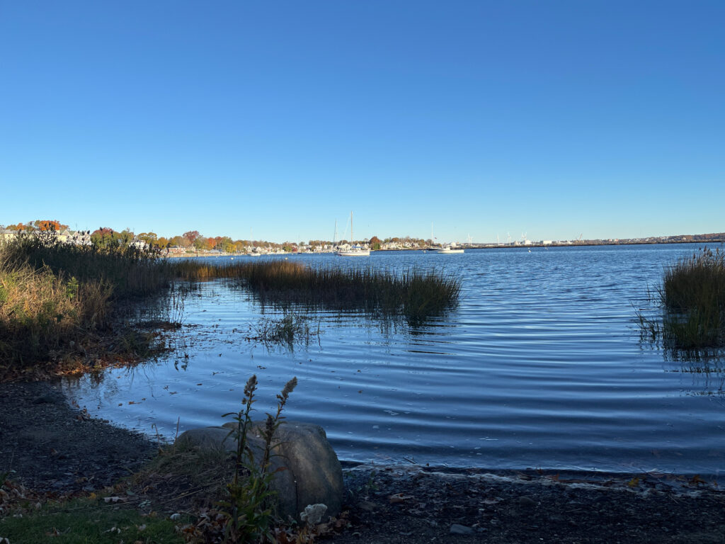 a body of water with plants and trees around it (MyCoast AI)