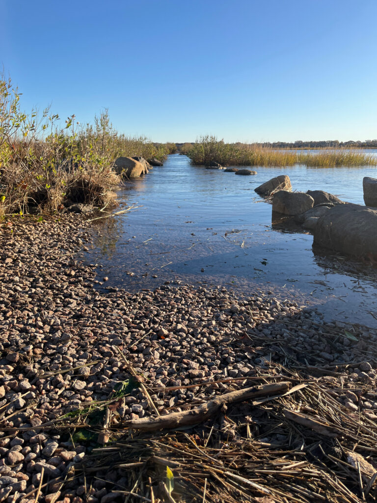 a river with rocks and plants (MyCoast AI)