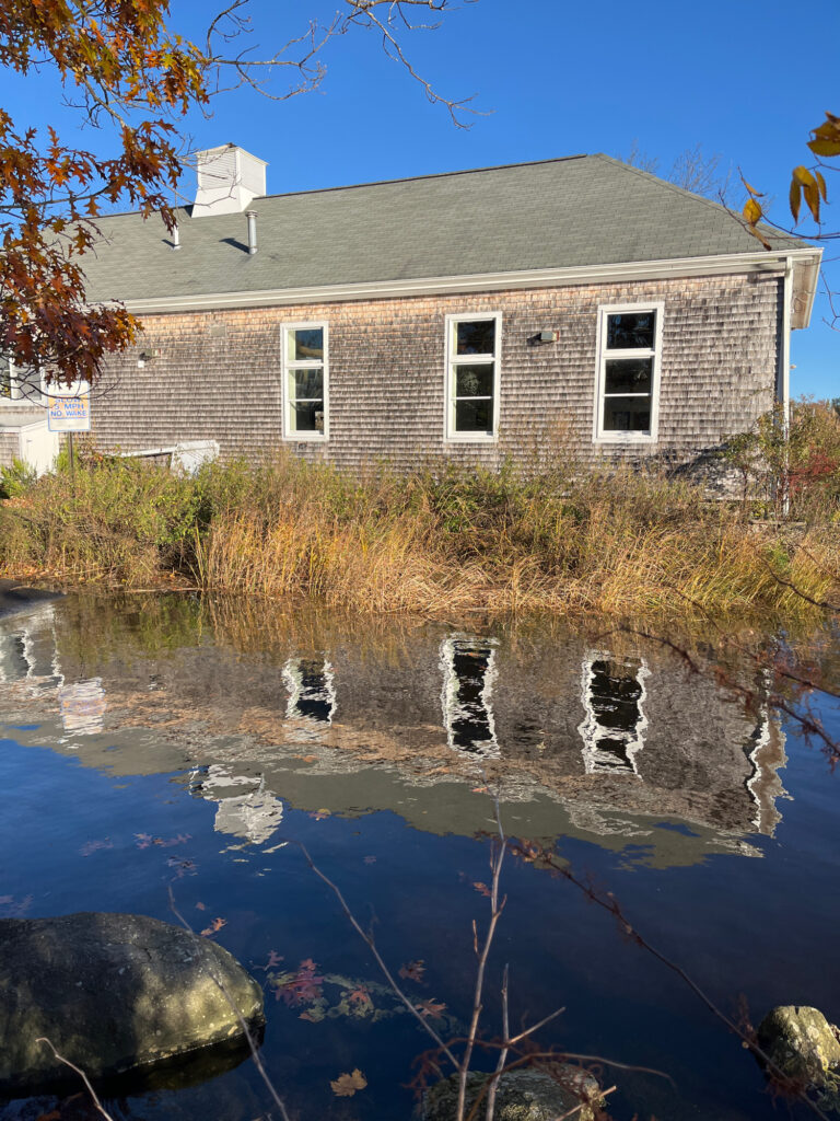 a house with a pond in front of it (MyCoast AI)