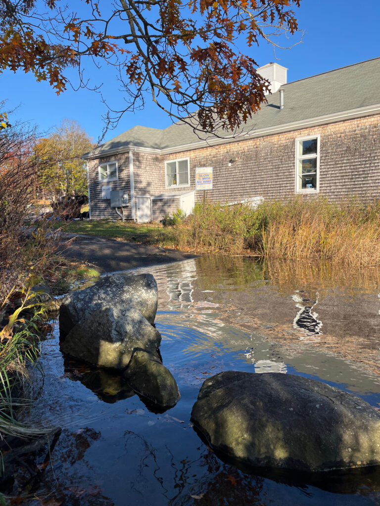 a pond with rocks and a house (MyCoast AI)