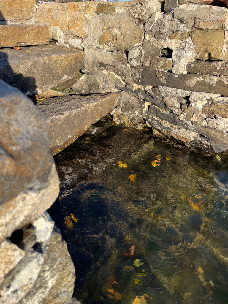 a small pond in a stone wall (MyCoast AI)