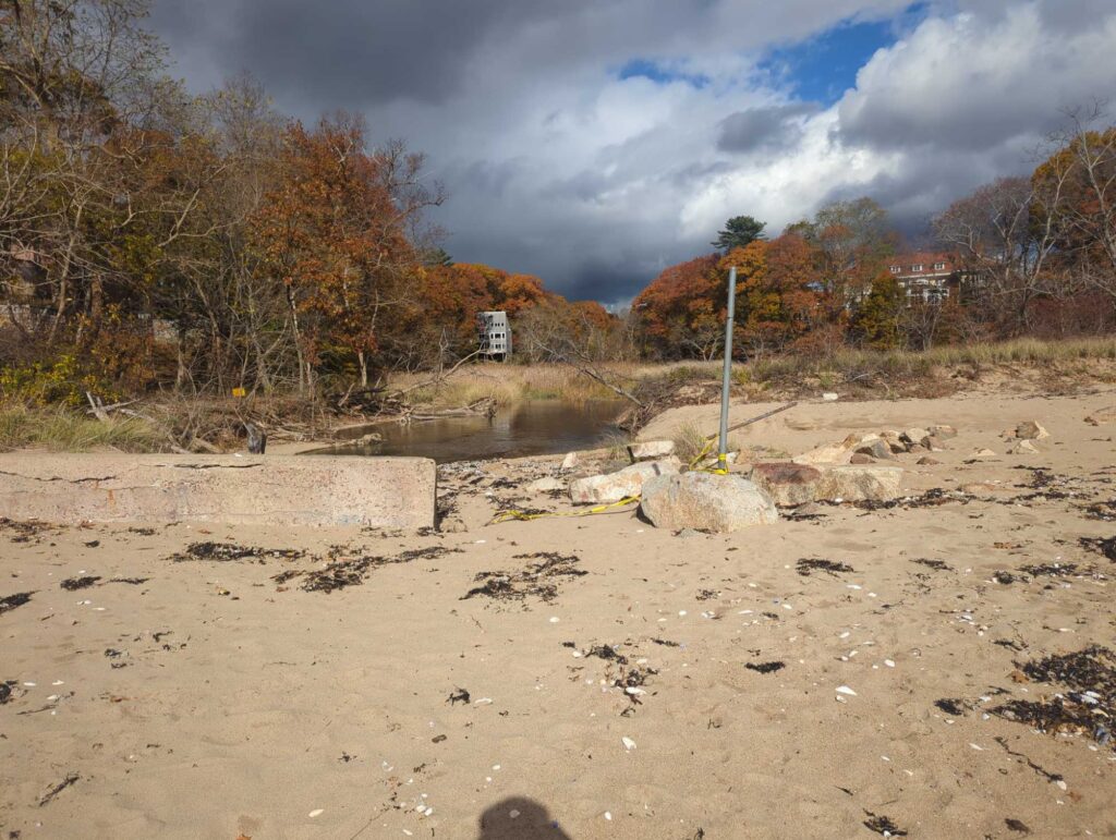 a sandy area with trees and a body of water in the background (MyCoast AI)