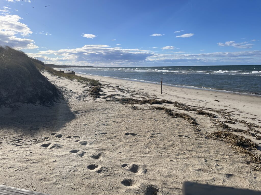 a sandy beach with rocks and water (MyCoast AI)