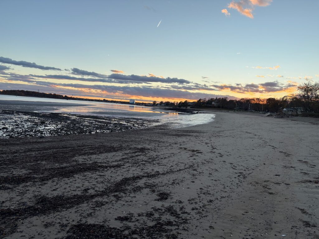 a beach with snow and trees (MyCoast AI)