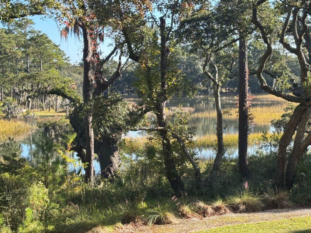 a lake surrounded by trees (MyCoast AI)