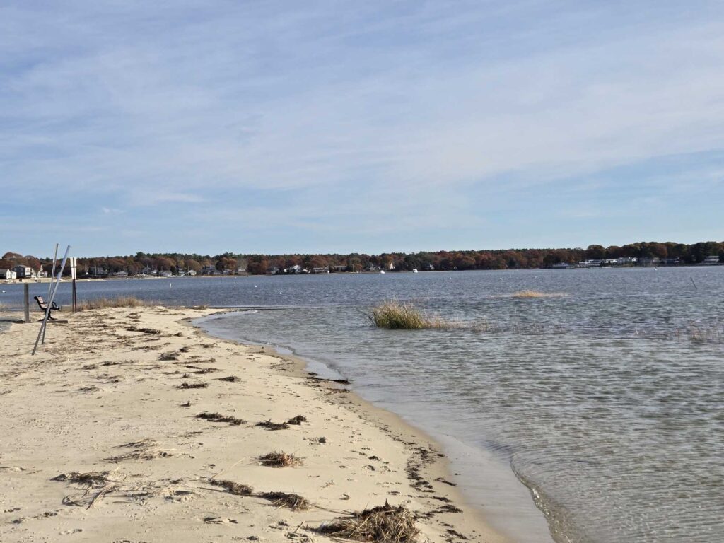a sandy beach with a body of water and trees in the background (MyCoast AI)