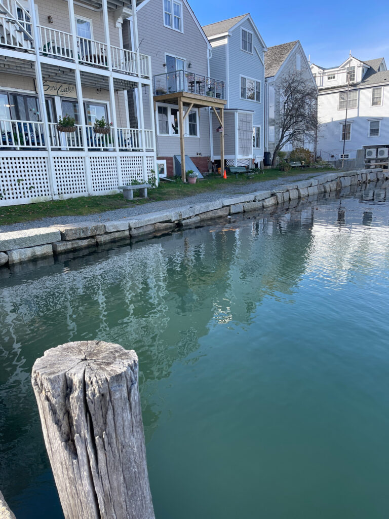 a body of water with buildings along it (MyCoast AI)