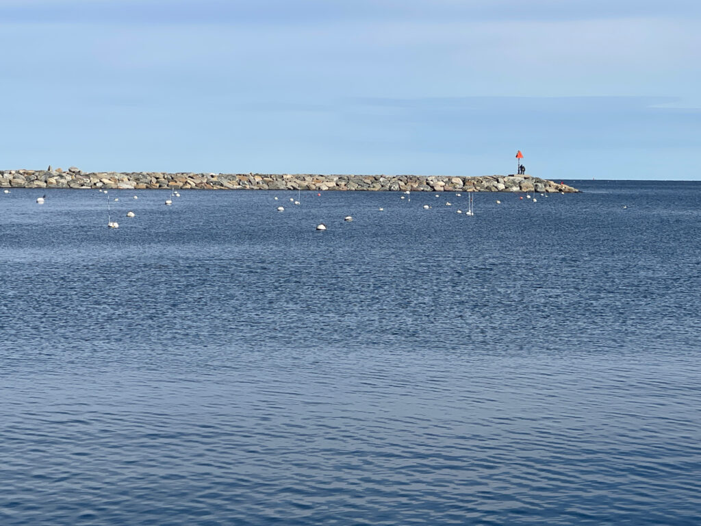 a body of water with a lighthouse in the distance (MyCoast AI)