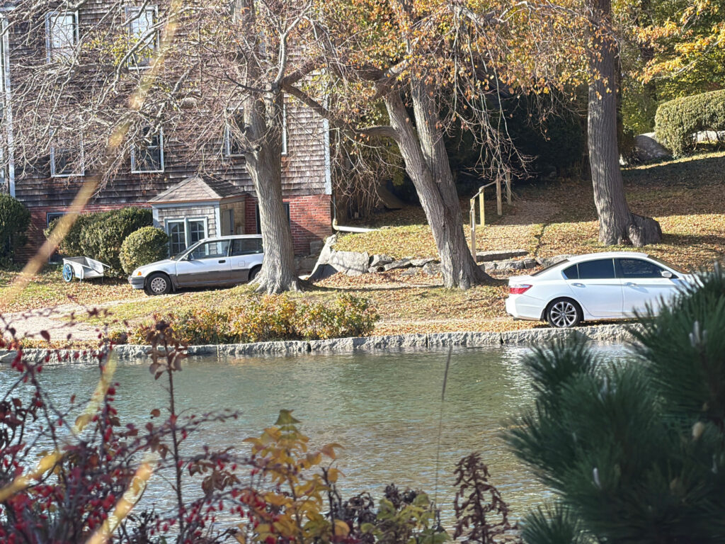 a pond with cars parked in the background (MyCoast AI)