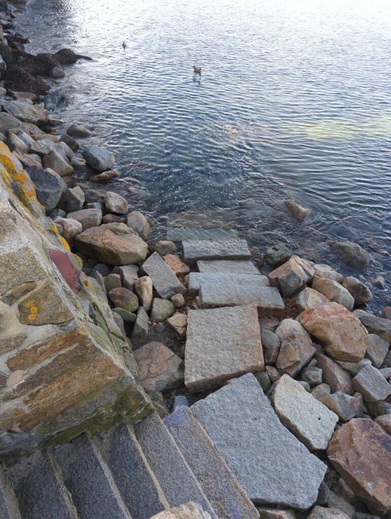 a rocky shore with a body of water in the background (MyCoast AI)