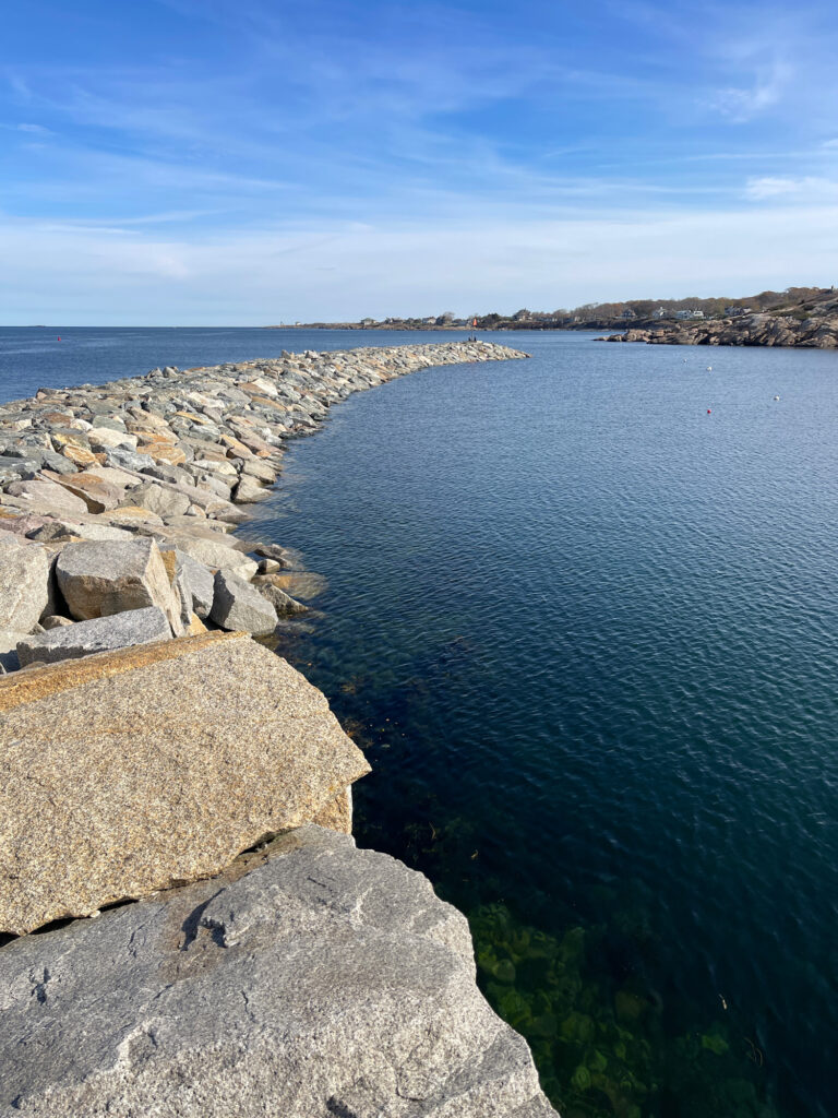 a rocky beach with a body of water in the background (MyCoast AI)