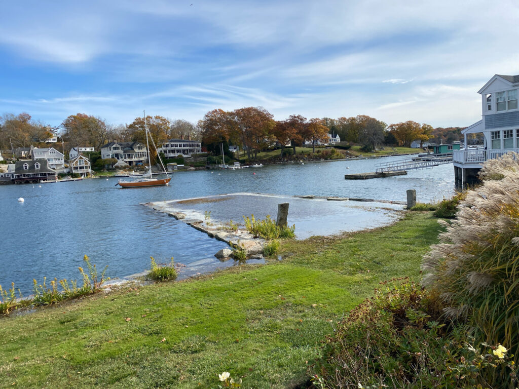 a body of water with boats in it and houses around it (MyCoast AI)