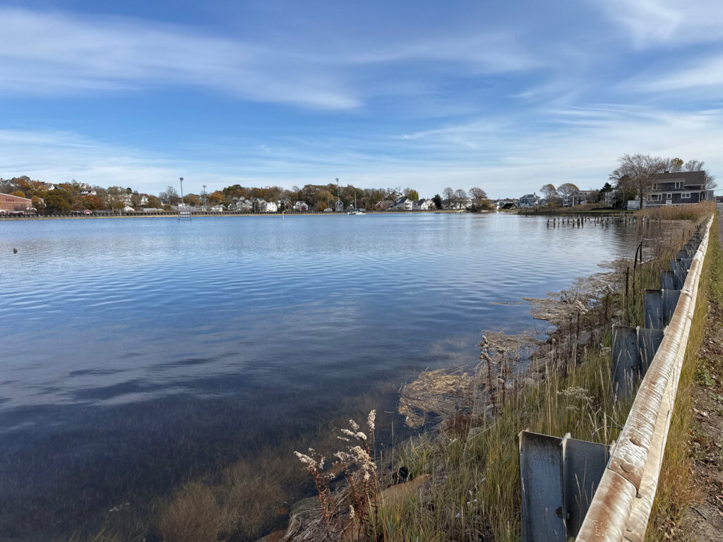 a body of water with grass and trees around it (MyCoast AI)