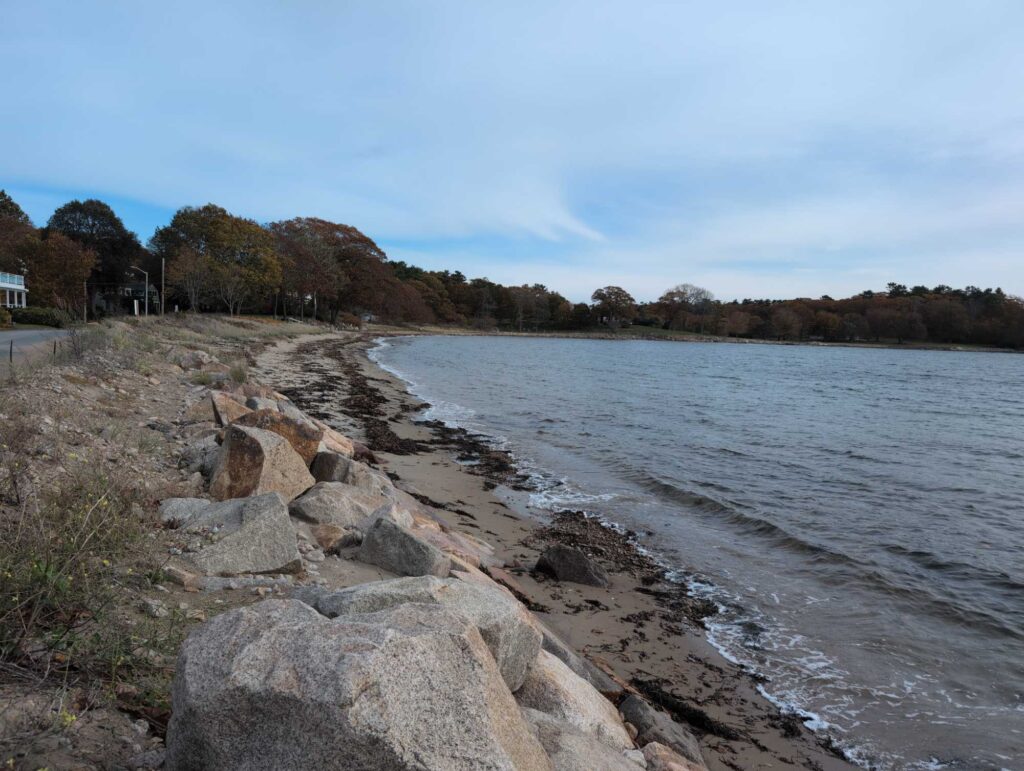 a rocky shore with a body of water and trees in the background (MyCoast AI)