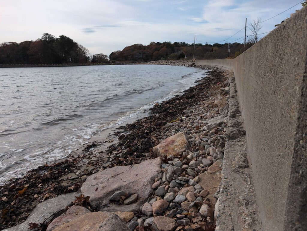 a rocky shore with a body of water and trees in the background (MyCoast AI)