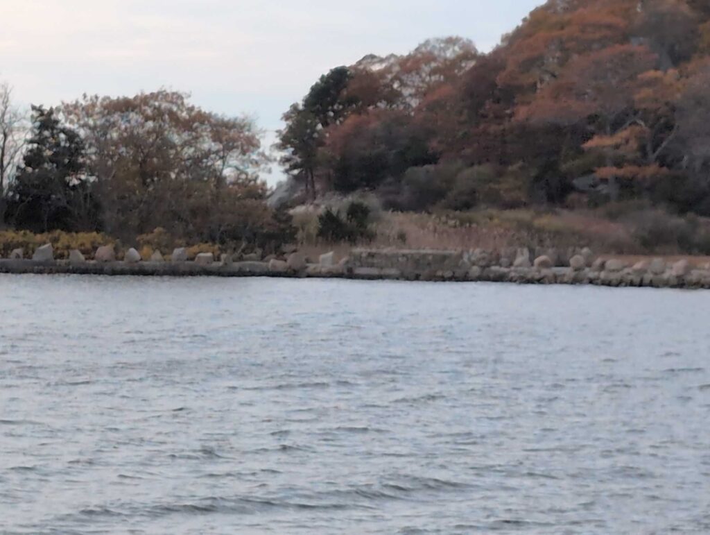 a body of water with trees and hills in the background (MyCoast AI)